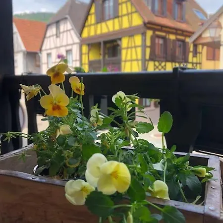 „la Maison Des Epices“ * Kintzheim