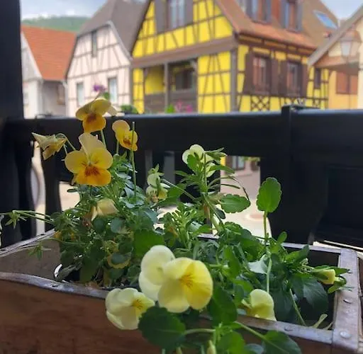 „la Maison Des Epices“ * Kintzheim